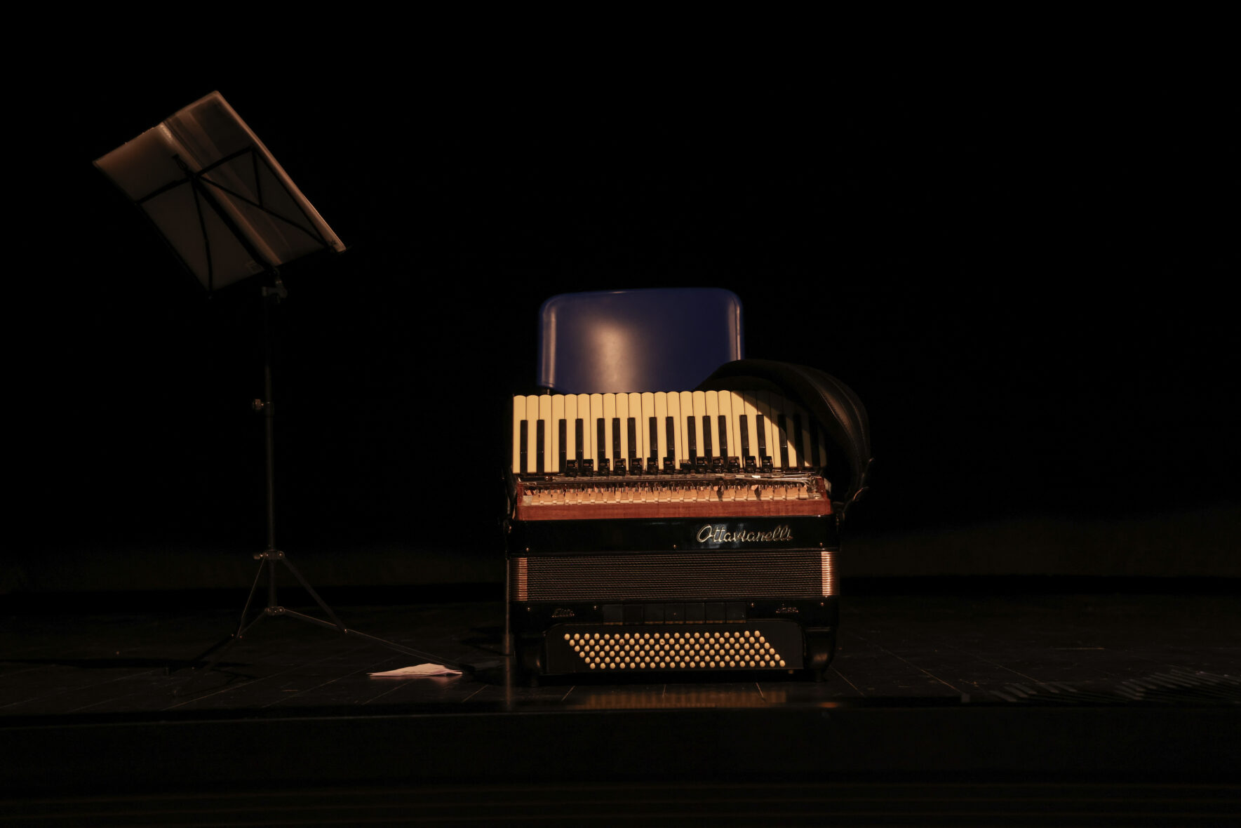 Davide Rocco Fiorenza: "my perspective of the accordion sound" Davide 01