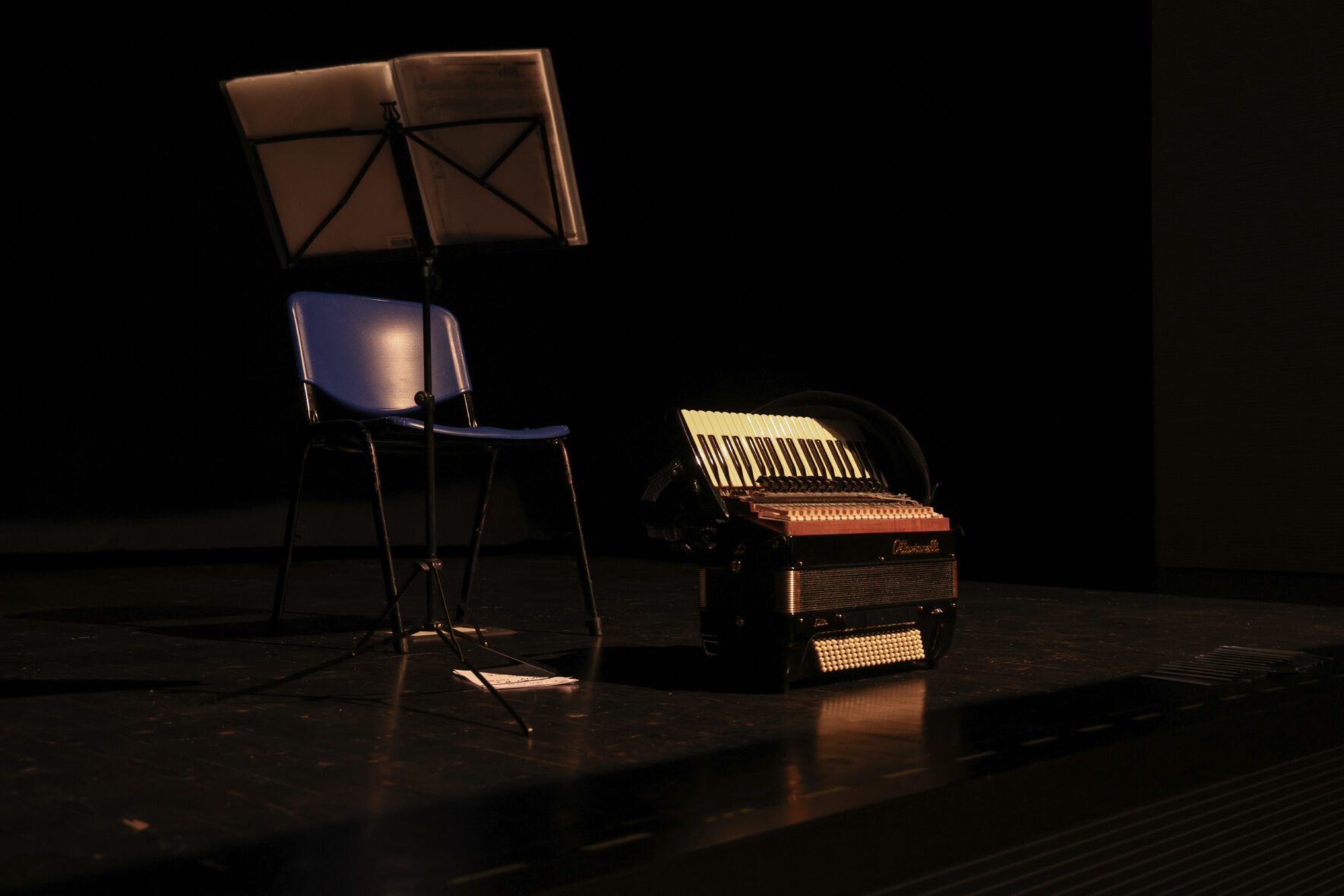 Davide Rocco Fiorenza: "my perspective of the accordion sound" Davide 02