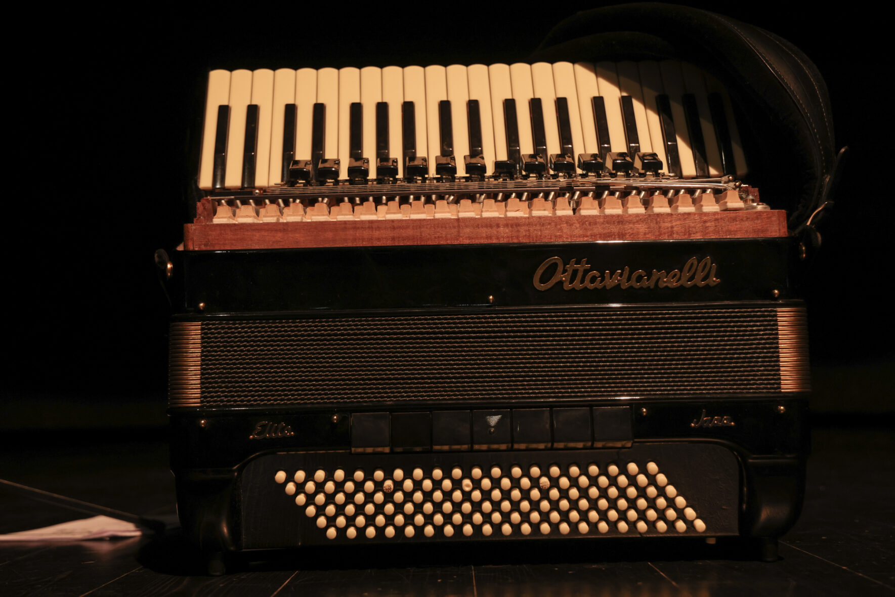 Davide Rocco Fiorenza: "my perspective of the accordion sound" Davide 03